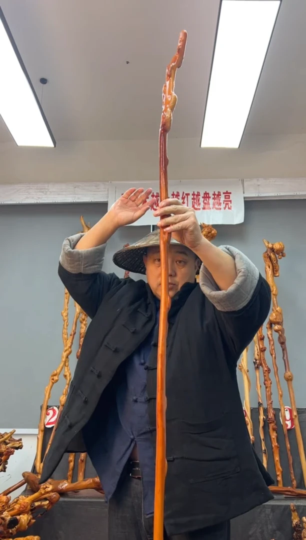【闪购商品】黑果木其他黑果木366