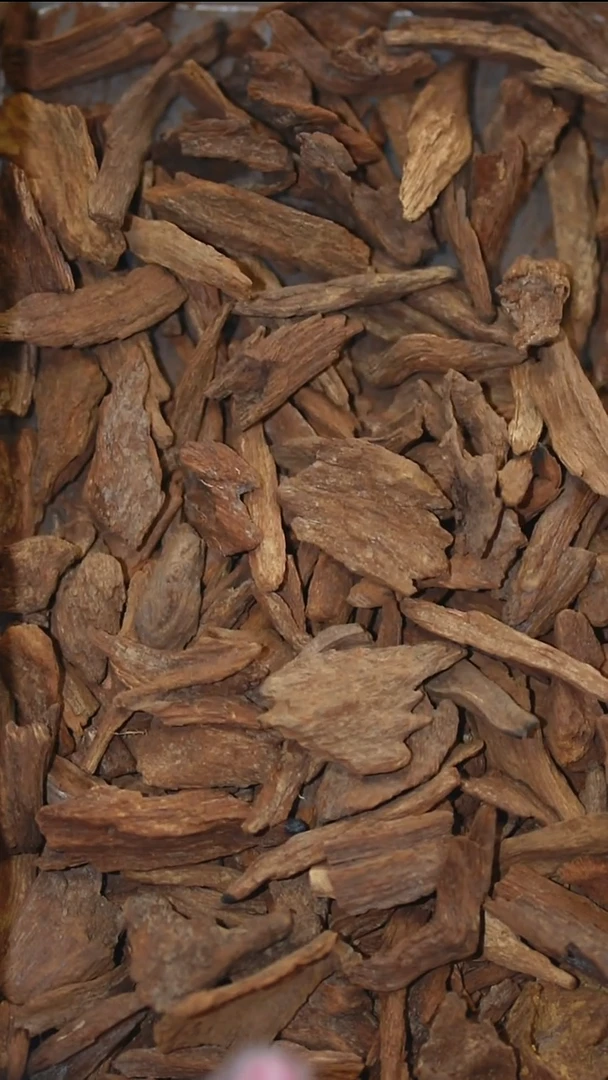 沉香沉香碎屑富森红土碳化沉水香料5克