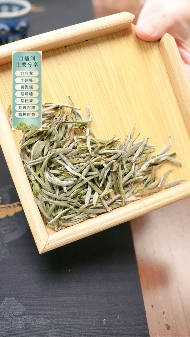 2025年太姥山炭焙特级银针一泡