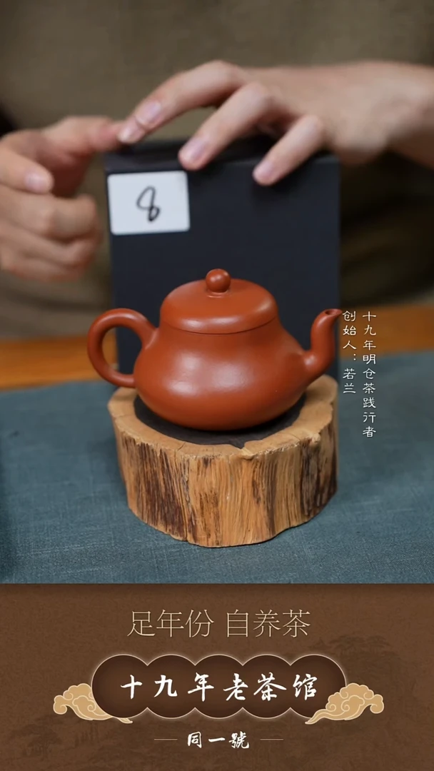 茶壶紫砂宜兴原矿紫砂壶8号