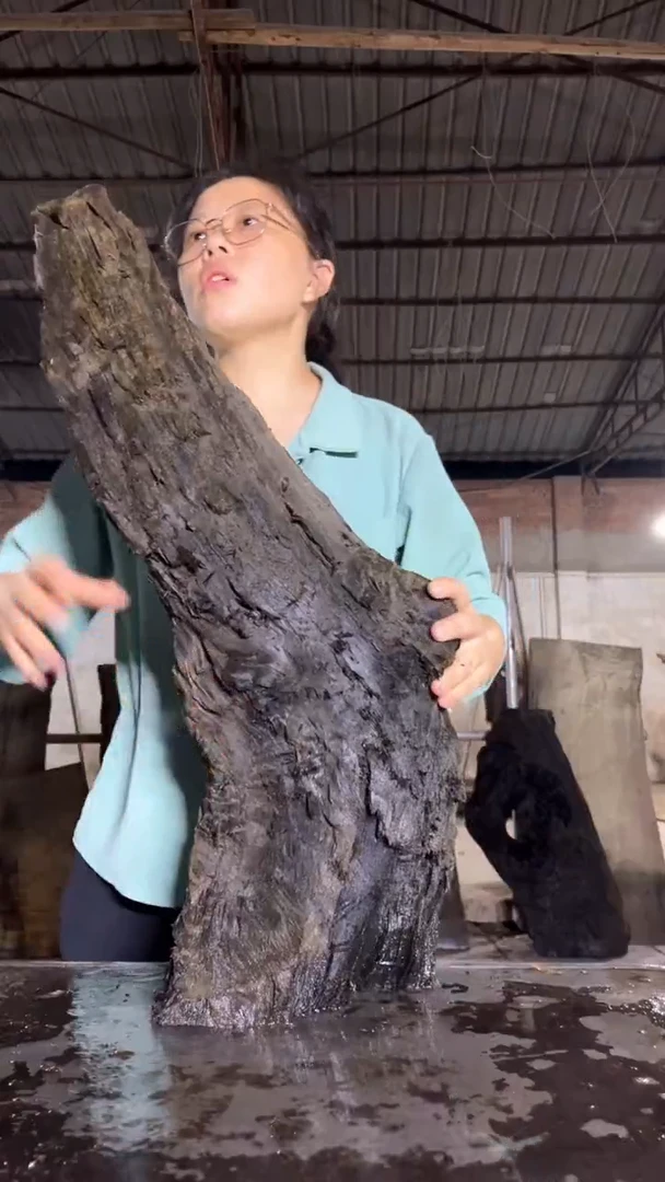 金丝楠22金丝楠小叶桢楠