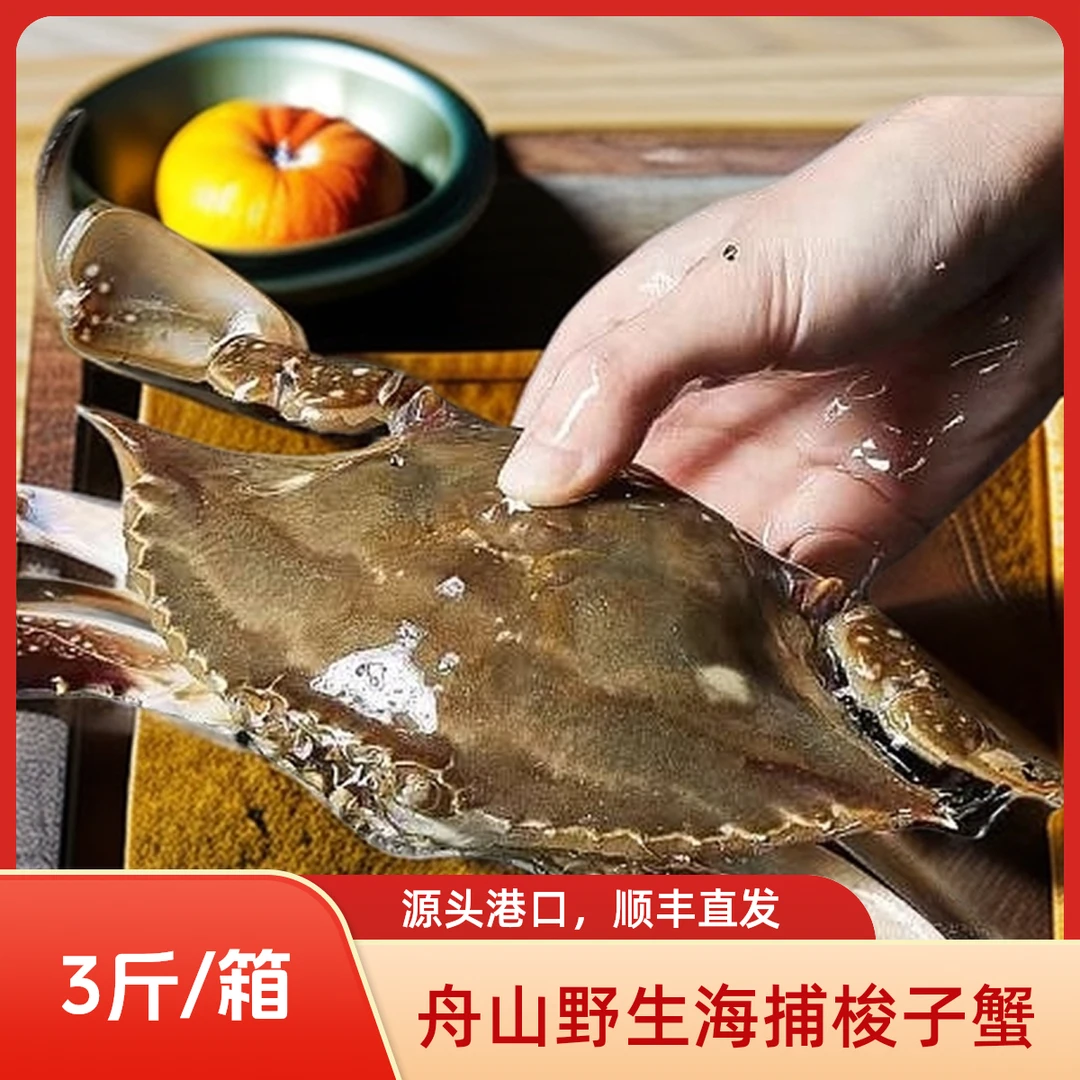 【保鲜不保活】舟山梭子蟹 4-6两/只 含试吃净重3斤左右/箱【冻蟹】