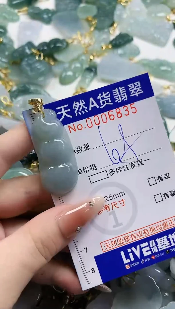 颈饰未镶嵌翡翠天然A货翡翠