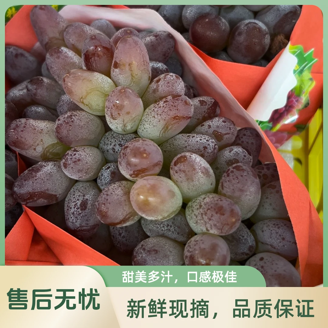 茉莉花香葡萄8斤一筐新鲜湖北省