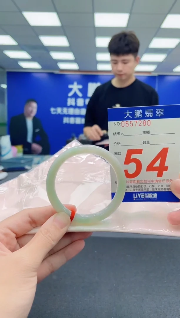 未镶嵌手镯翡翠AAAAAAAAA