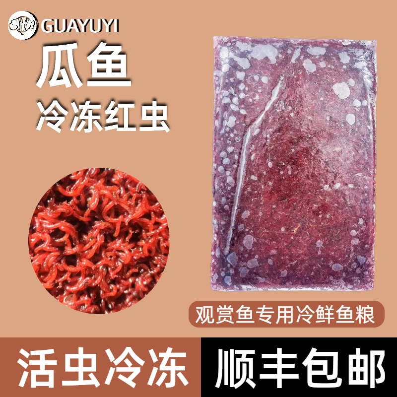 GUAYUYI兰寿泰狮金鱼用冷冻红虫大母虫冷冻鱼粮活食活饵冰鲜鱼食