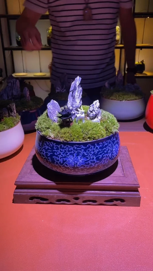 吉鑫福利精选福力