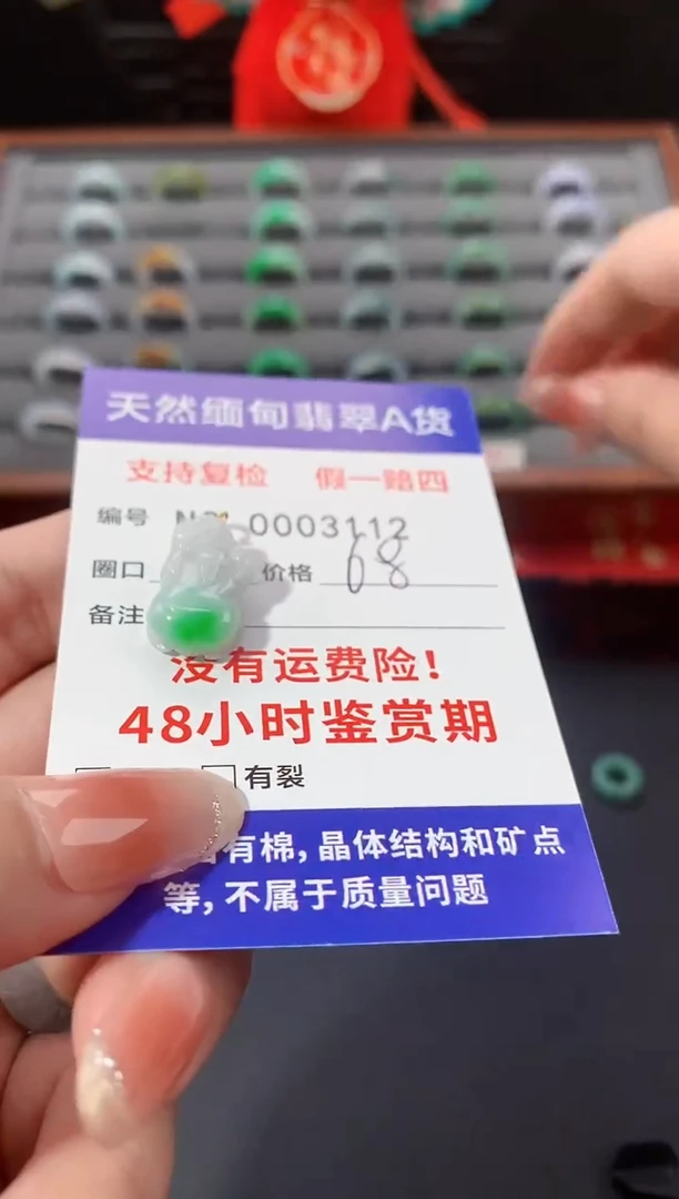 颈饰未镶嵌翡翠貔貅