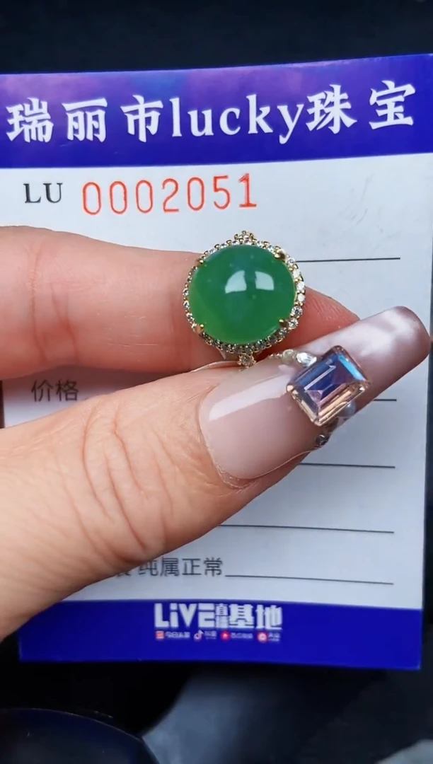 翡翠银S925镶嵌颈饰2051