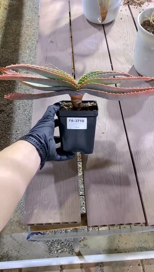 推进器芦荟脱土FA-3710