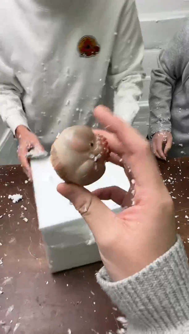 茶具清货商品闪购链接