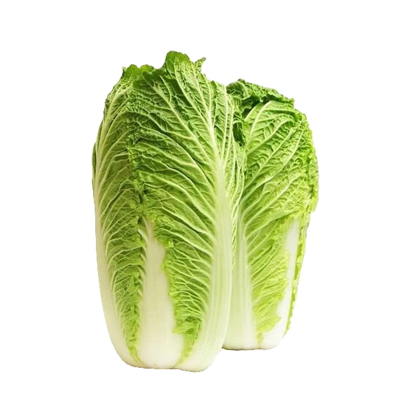 山地大白菜绿色蔬菜