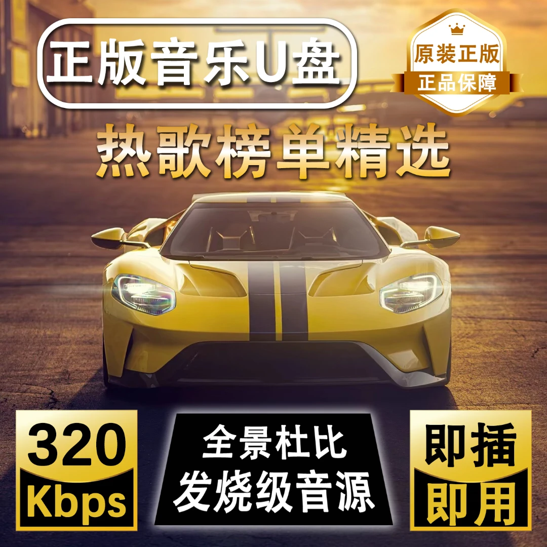 2025新款车载音乐u盘流行热歌榜DJ舞曲伤感情歌800正版优盘高音质