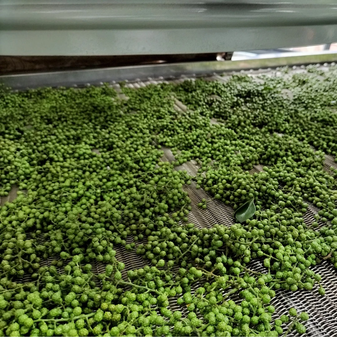 川渝风味灵魂，鲜青花椒，麻香浓郁，比干花椒更鲜爽