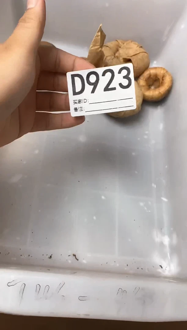 瓷片爱**光瓷器杯子一物一拍923