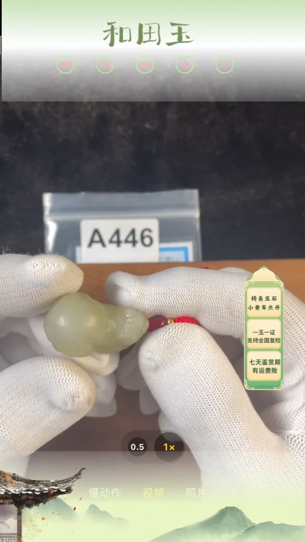 和田玉未镶嵌吊坠(赠链)446