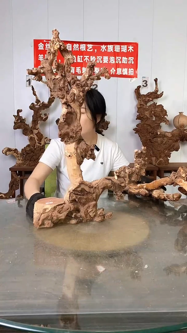 香榧木金丝红木  羊蹄甲