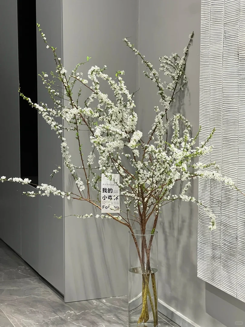 【雪柳】新鲜带叶带花苞 收到需醒花 云南爆品鲜花基地直发
