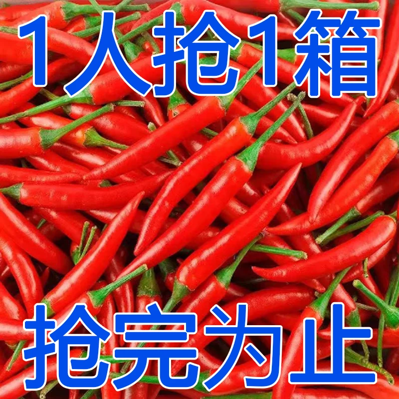 【限量抢5斤】现摘特辣新鲜小米辣批发指朝天椒辣椒小米椒剁椒泡椒