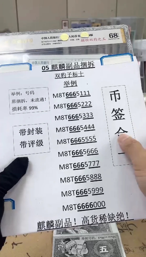 双豹子【捆拆双豹之王】