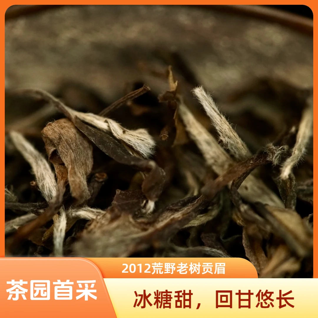 柒月严选白茶—2012年荒野老枞贡眉，高山碳焙日晒，茶园首采，50g