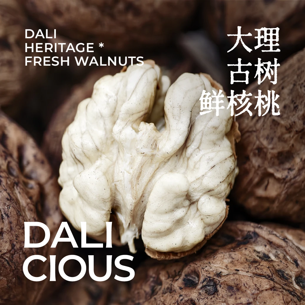 顺丰包邮 稀有100年古树鲜核桃 漾濞去青皮湿核桃脆仁油香浓郁