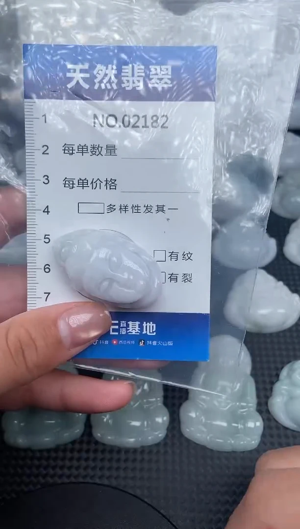 颈饰未镶嵌翡翠纯天然A货翡翠2182