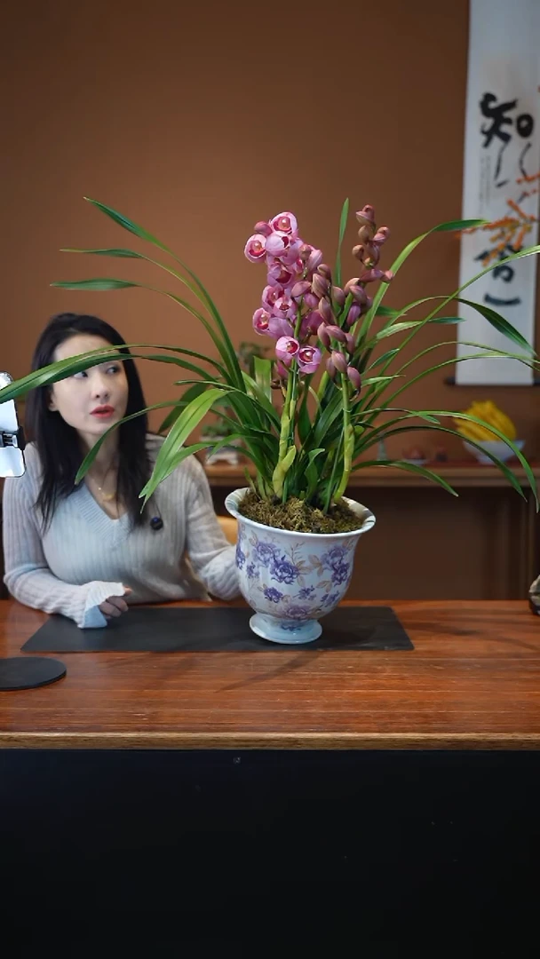 全部花朵紫色青花粉黛