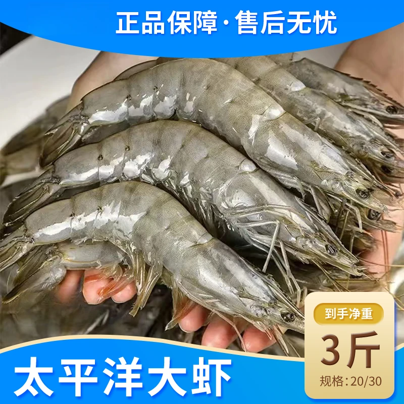 冠鲜行动精选厄瓜多尔大虾桑塔盐冻到手6斤2030/1500g*2