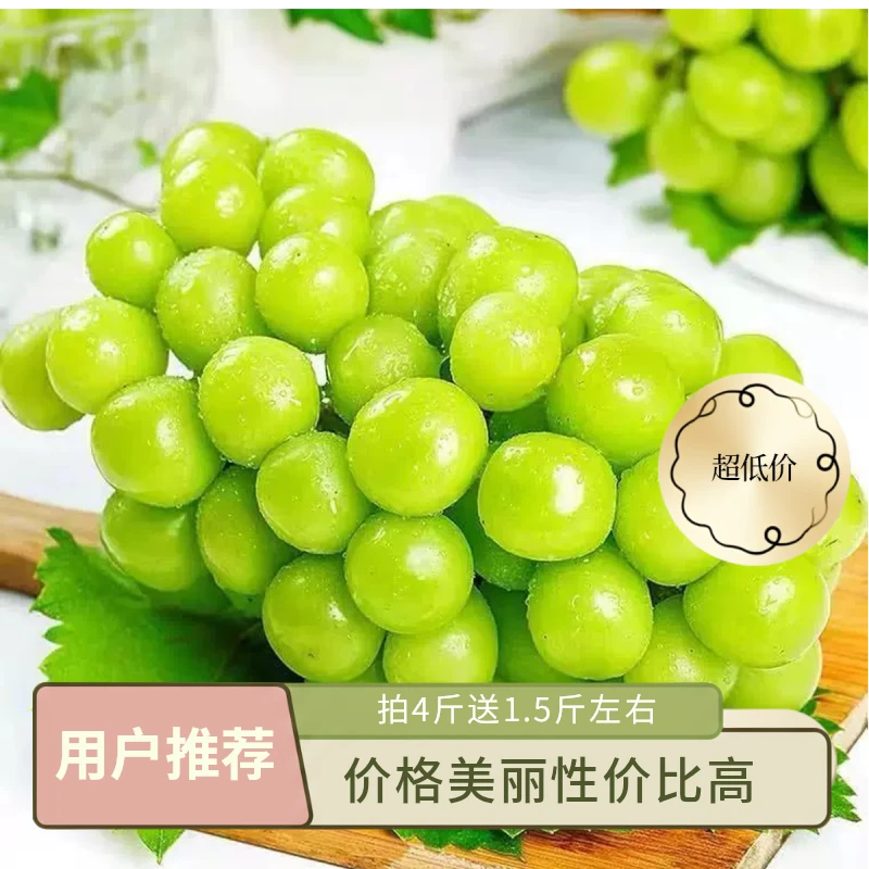 【云南-晴王】葡萄晴王无籽青提当季葡萄水晶葡萄新鲜提子脆甜包邮G云南省