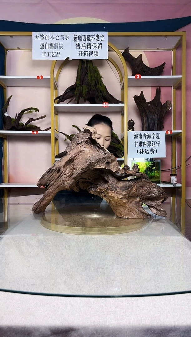 孙SQCM紫柚木秒沉水A219