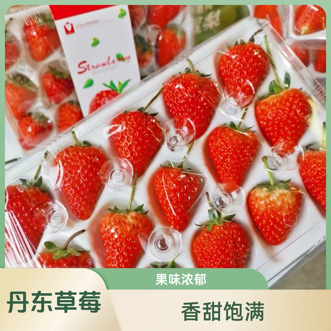 【丹东草莓】果味浓郁 香甜饱满 单盒250g左右