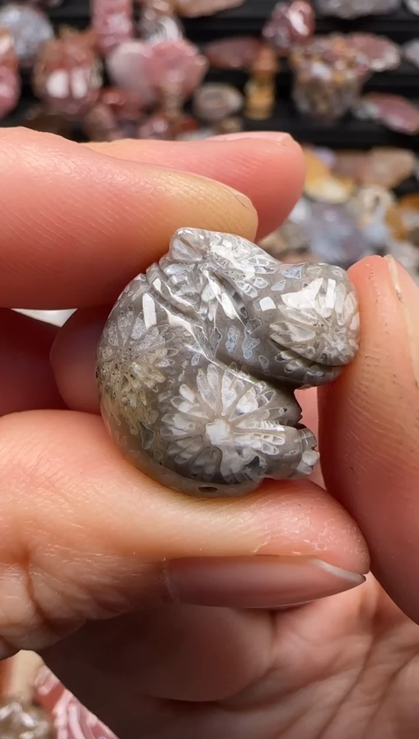 【闪购商品】硅化珊瑚（珊瑚玉）颈饰未镶嵌280