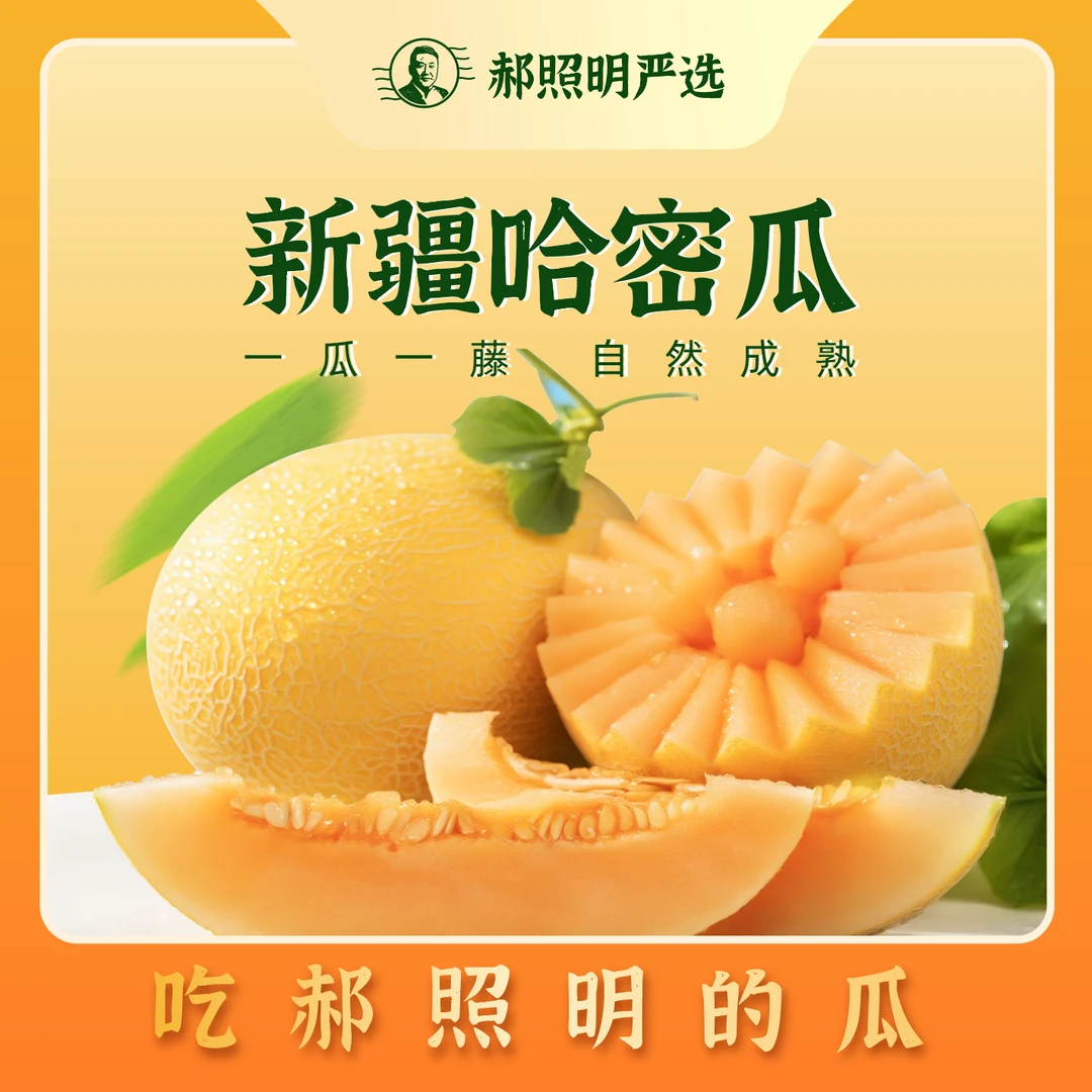 新疆直发金色年华高端哈密瓜现摘现发新鲜应季水果