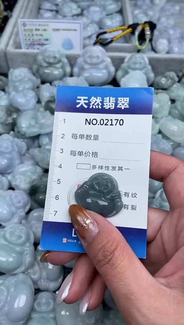 颈饰未镶嵌翡翠纯天然A货翡翠2170