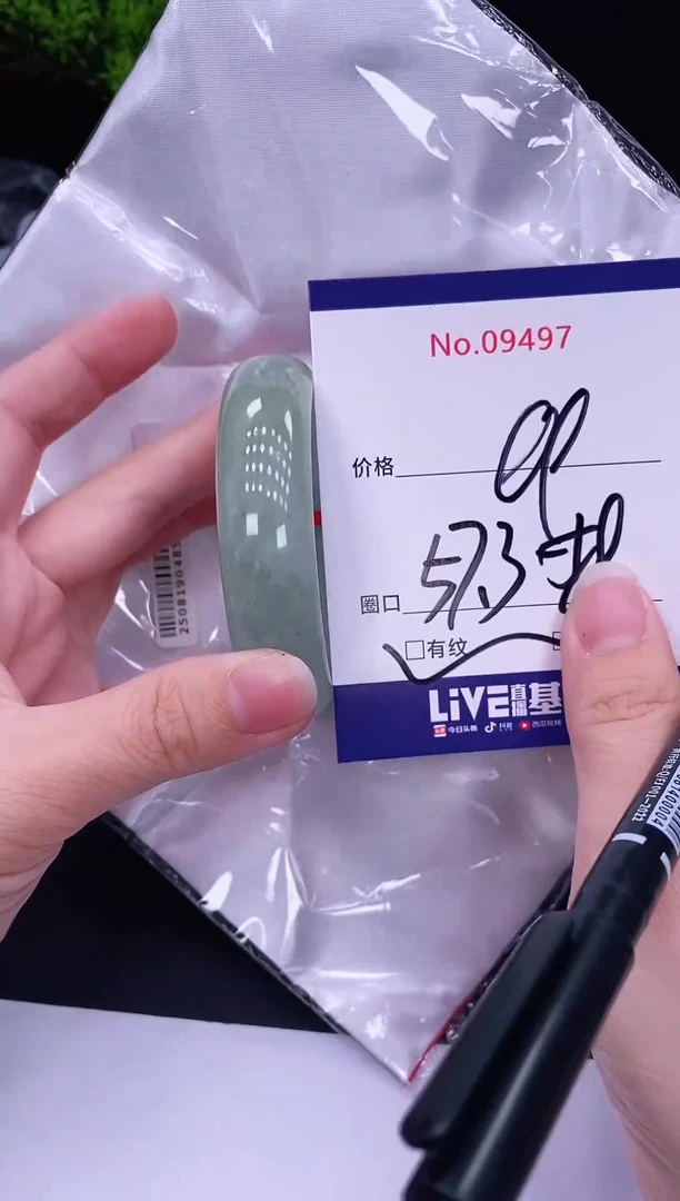 未镶嵌手镯翡翠9497