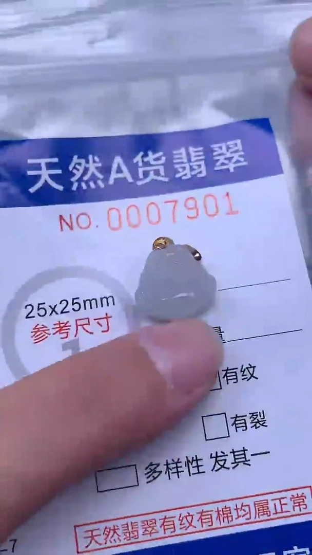 翡翠未镶嵌吊坠(不含链)1