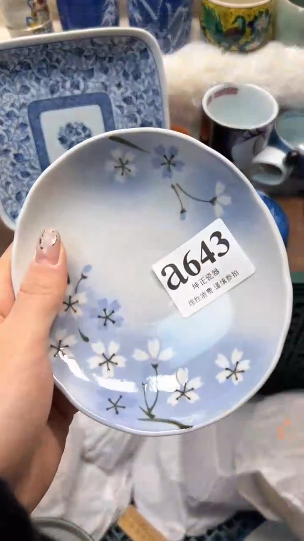 【闪购商品】瓷片          a643