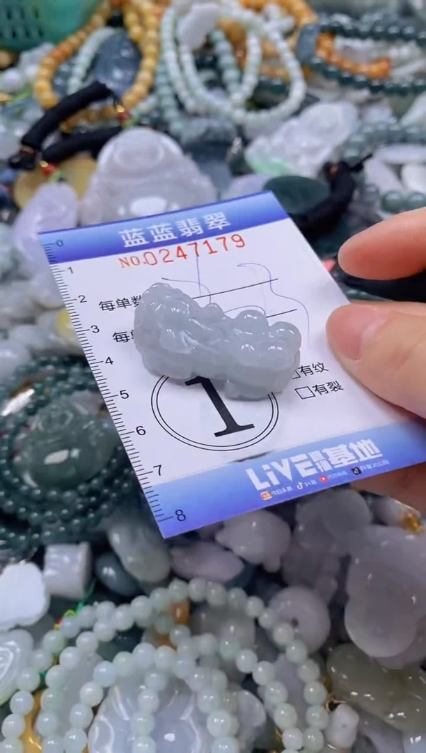 翡翠未镶嵌颈饰闪购0247179