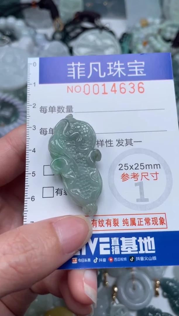颈饰未镶嵌翡翠14636