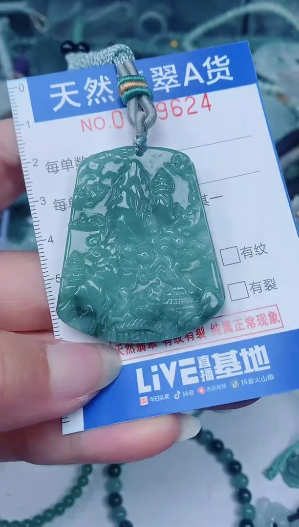 颈饰未镶嵌翡翠00009624