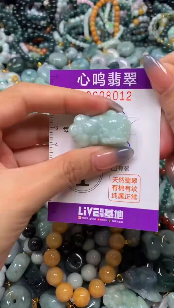 颈饰未镶嵌翡翠闪购008012
