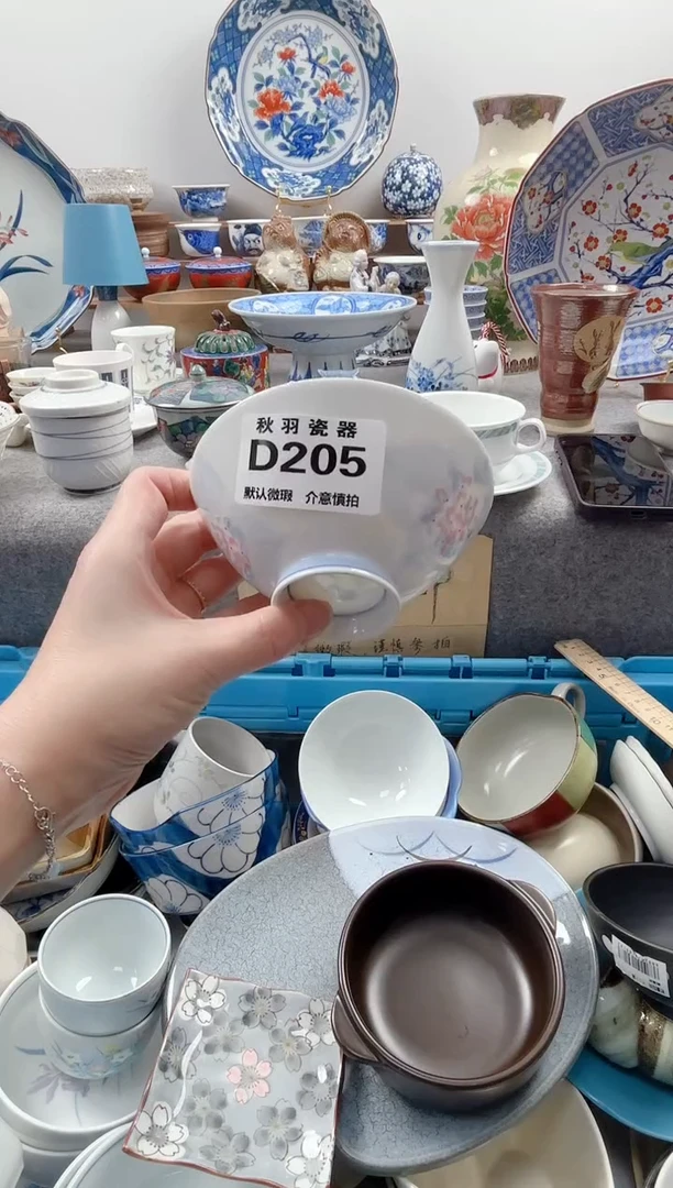 日式E****n默认微瑕秋羽D205
