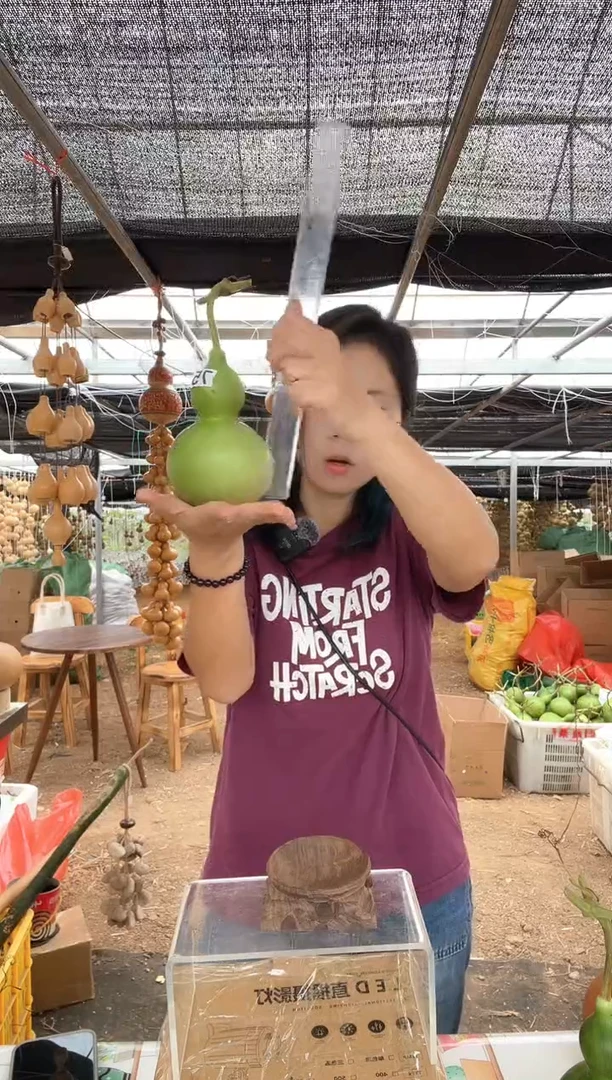 756天然葫芦摆件 一物一拍龙头不保售后