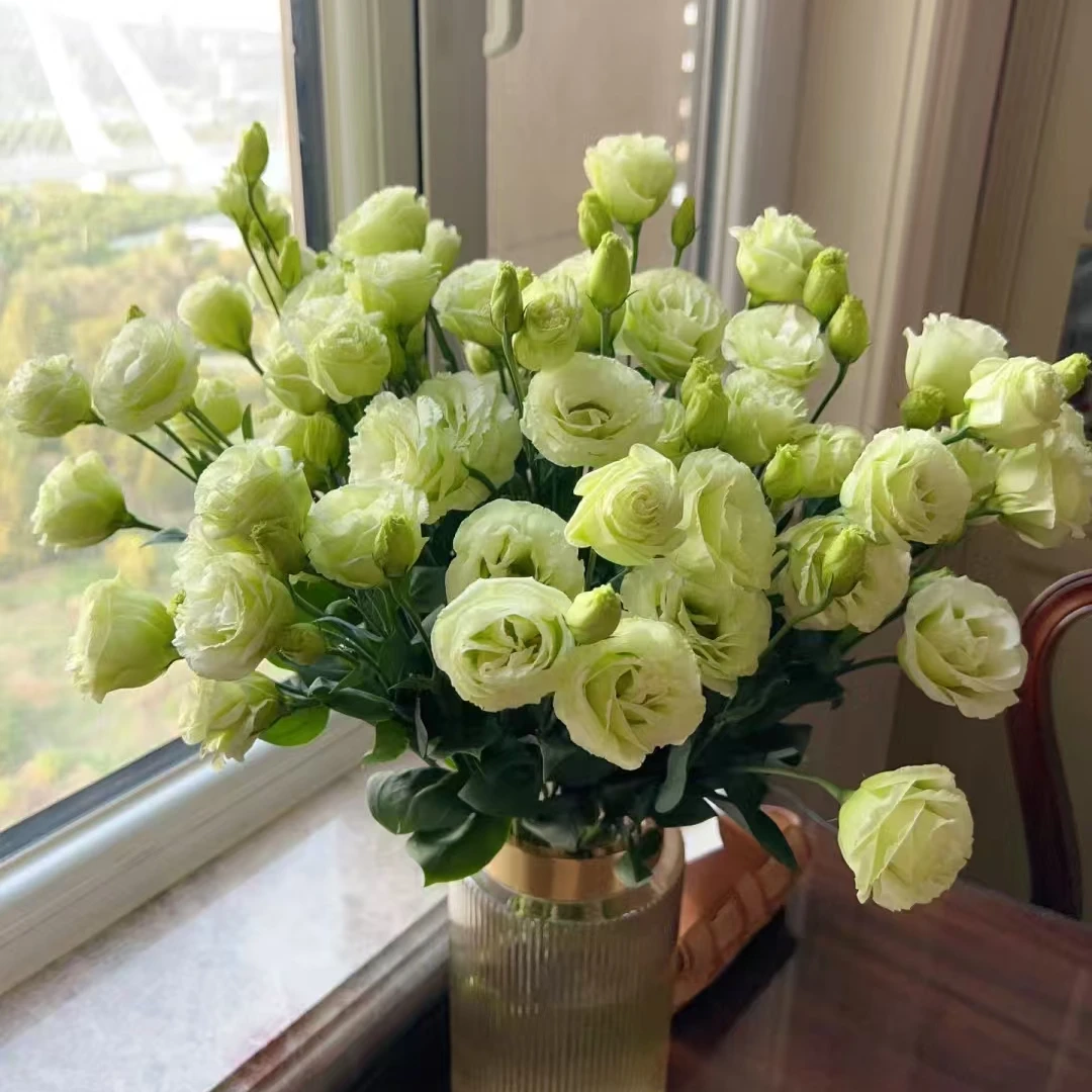 3支洋桔梗瓶插花家养