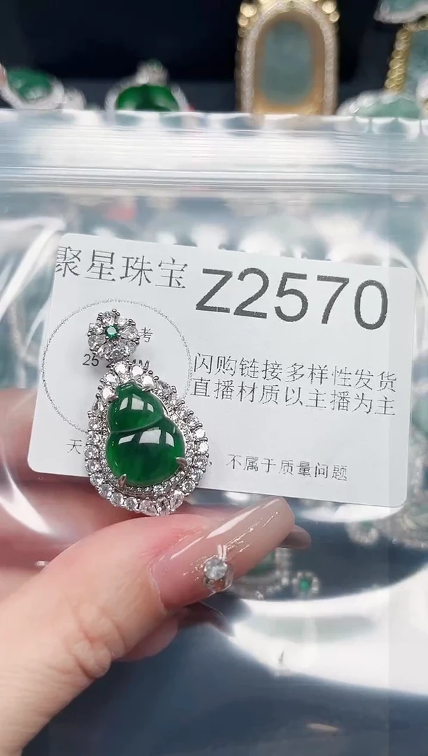 【闪购商品】翡翠颈饰未镶嵌赠皮绳2570