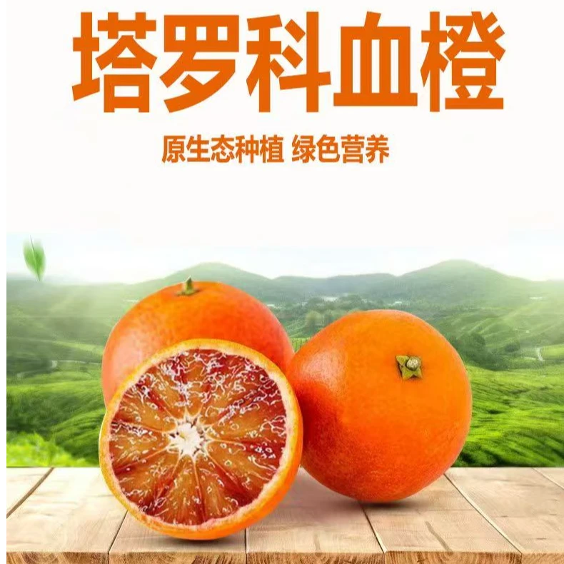 【带箱10斤】正宗塔罗科玫瑰香血橙爆甜多汁25-35个