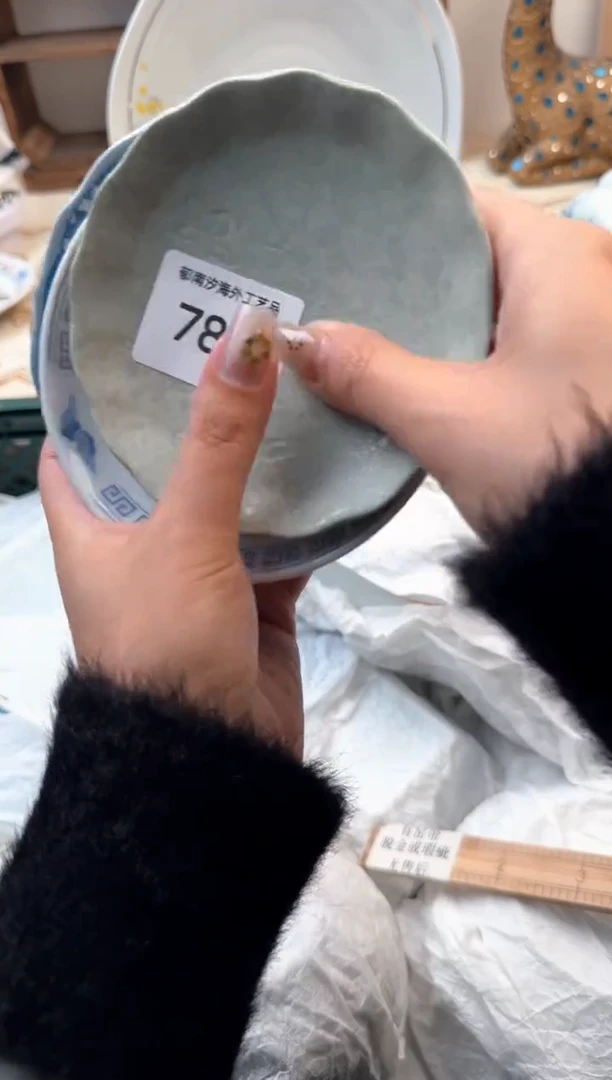 【闪购商品】瓷片Z           787