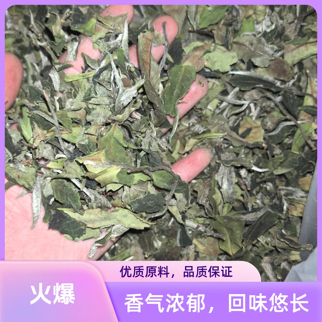 2025单株月光白茶散茶