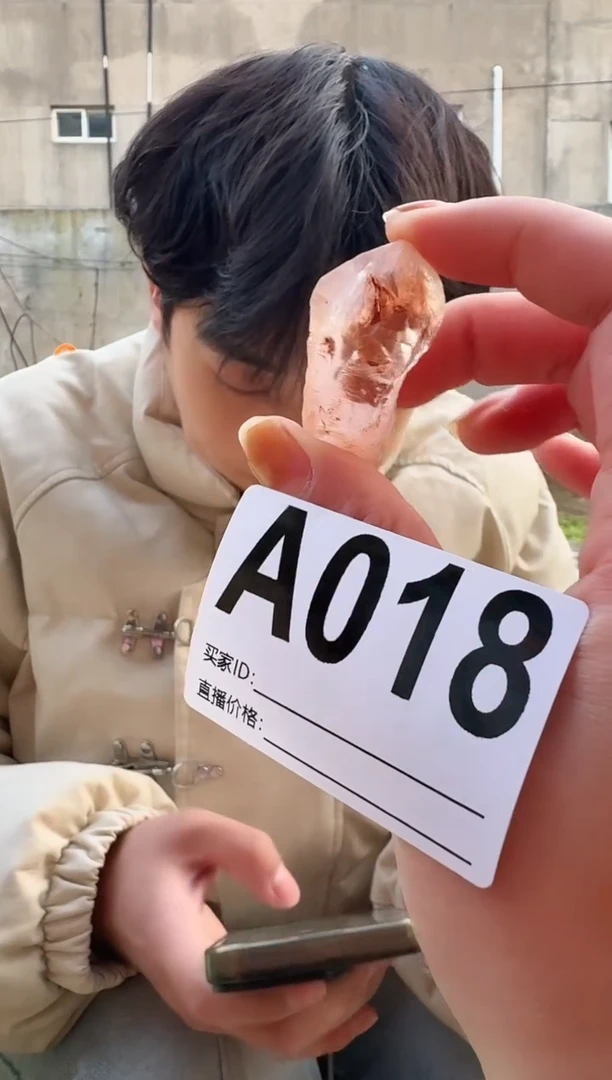 【闪购商品】水晶摆件未镶嵌骸骨 018